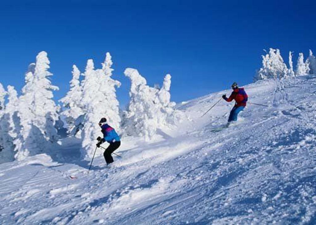 Chateau Resort & Conference Center Tannersville Fasiliteter bilde